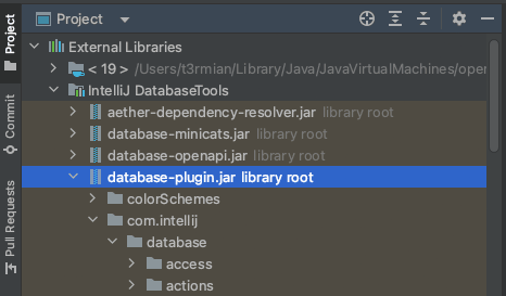 IntelliJ local library contents added in the project tree